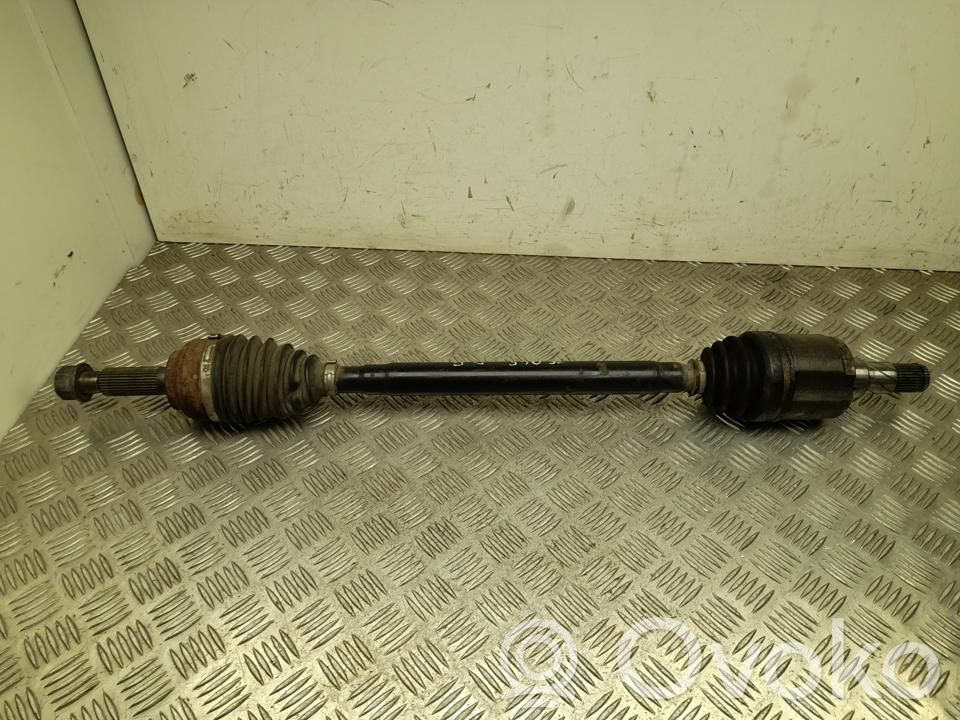 Galinis pusašis   100771901A,VD40990