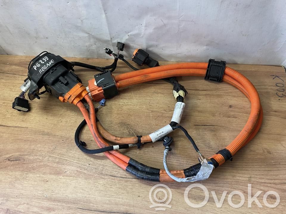 Kabel do ładowania samochodu elektrycznego   403887935R,296950176R,296950431R,KLEP6839