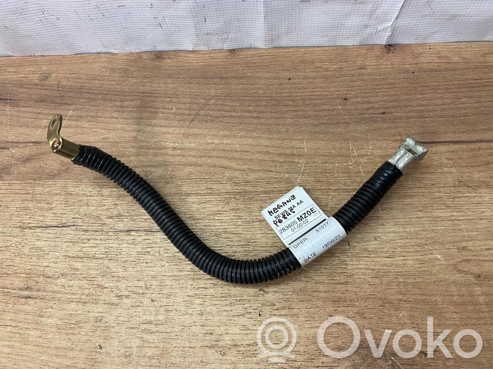Altro tipo di cablaggio   283605MZ0E,KLEP6845