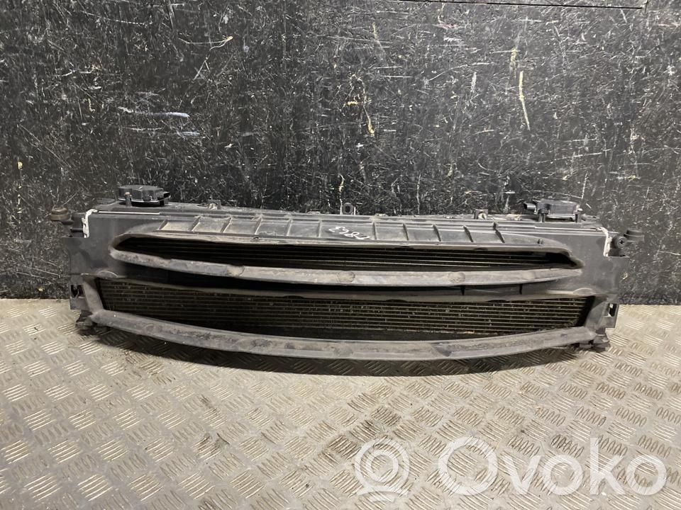 Tesla Model S Radiatore di raffreddamento 