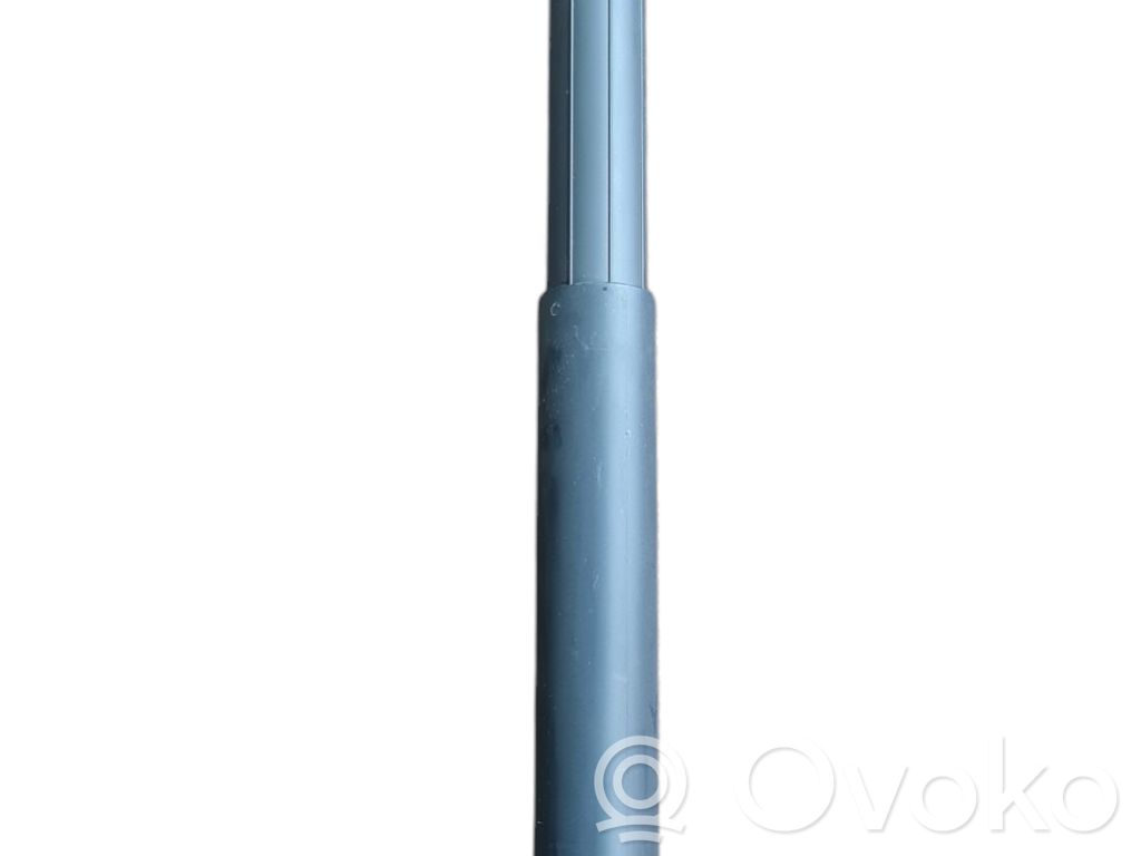 Tailgate strut