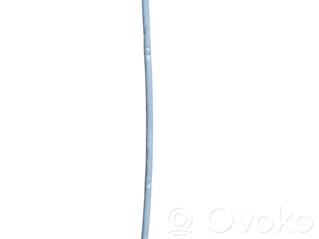 Trosīte   392475