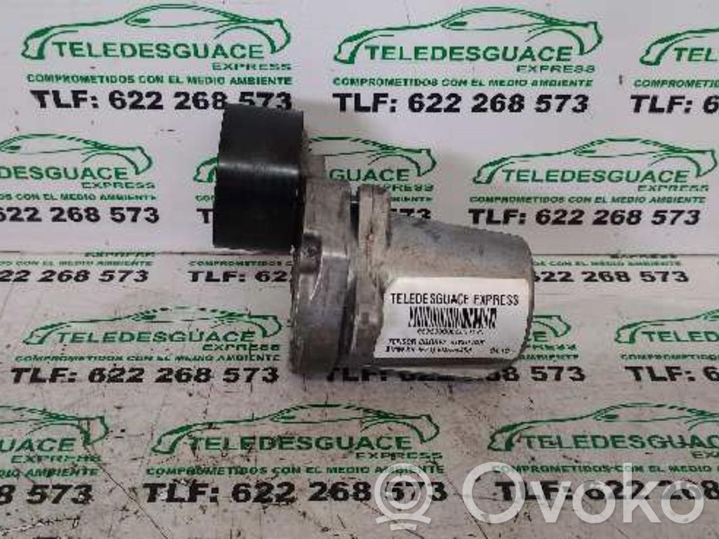 BMW X6 E71 Tendicinghia generatore/alternatore 