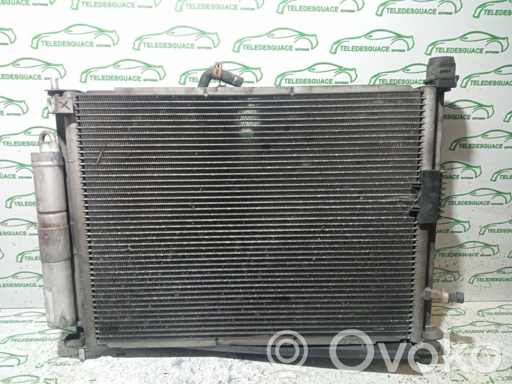Renault Clio III Aušinimo skysčio radiatorius 