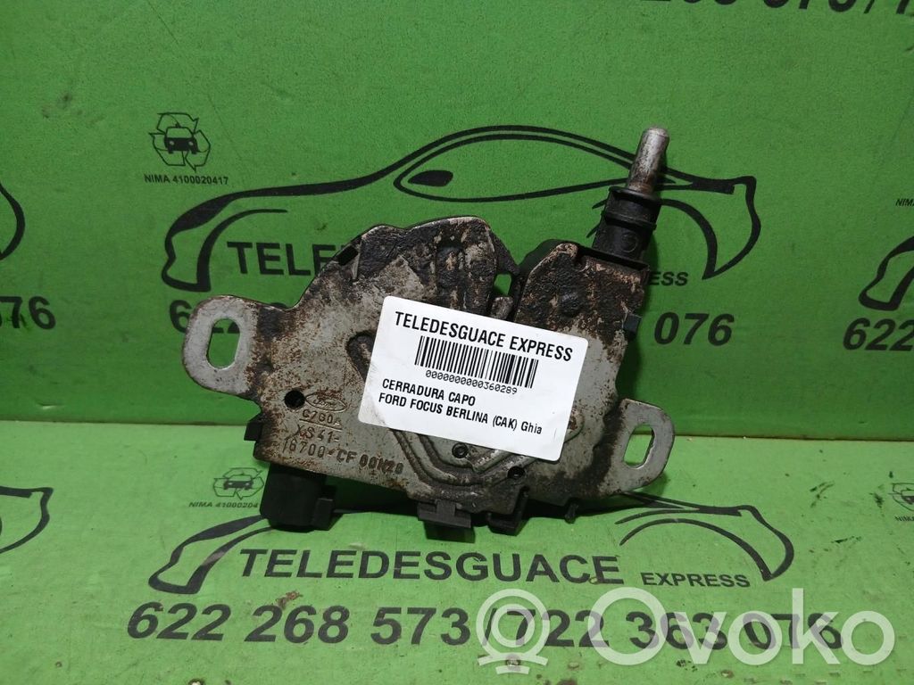 Ford Focus Tie down hook / loop 