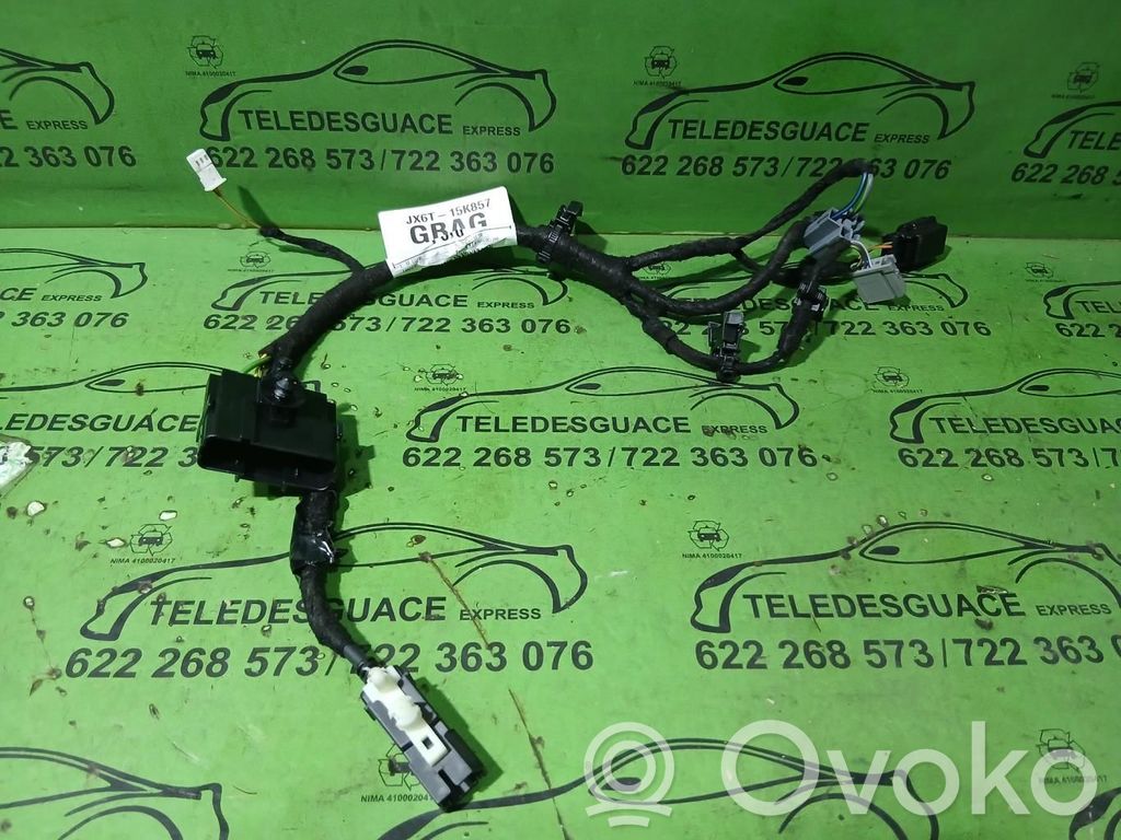 Ford Focus Cableado de instalación del motor 