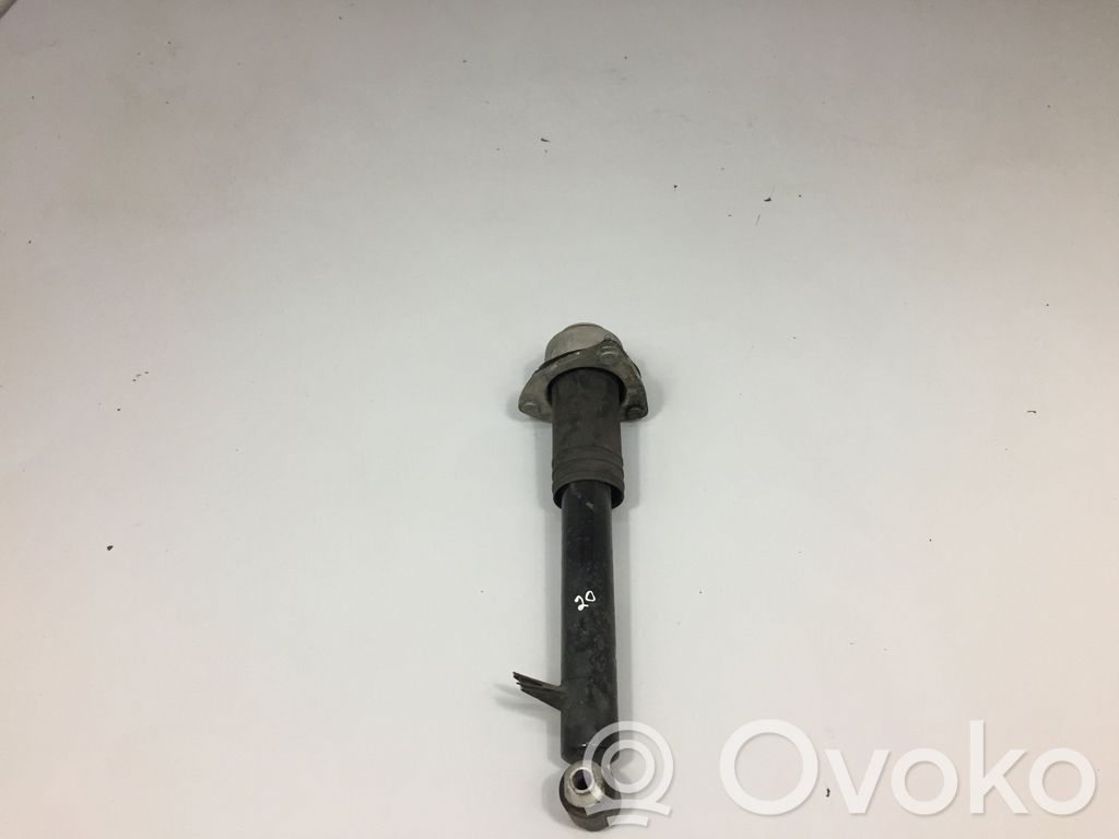 BMW X5 E70 Stoßdämpfer hinten 
