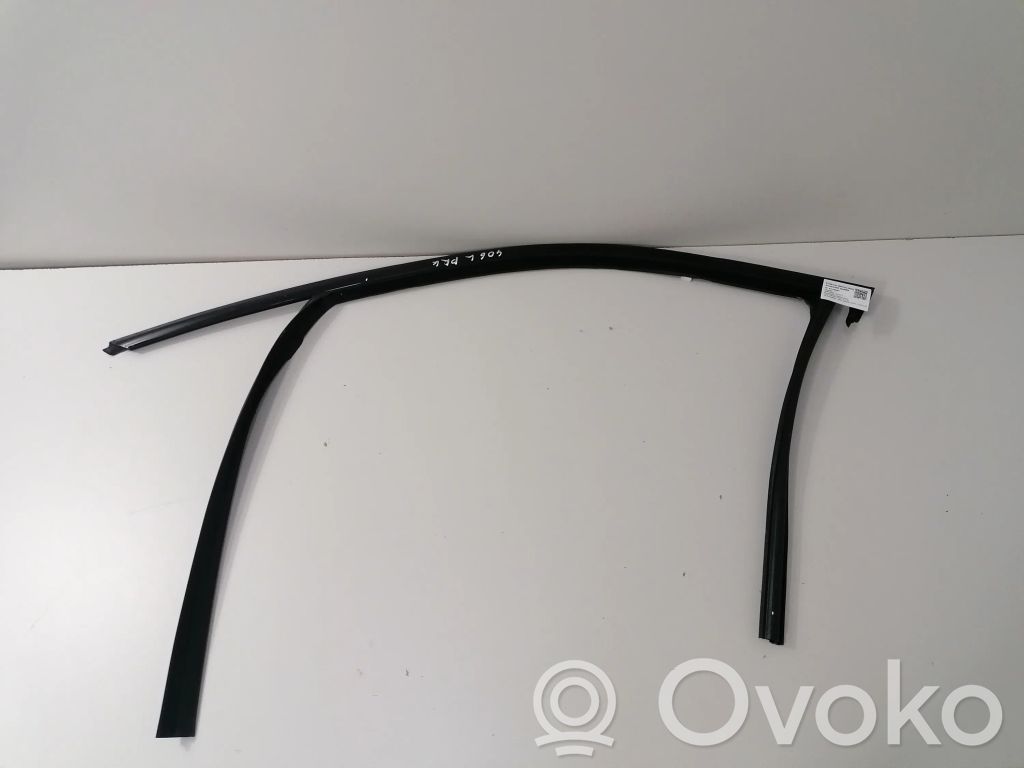 BMW X6 G06 Rivestimento modanatura del vetro della portiera anteriore 