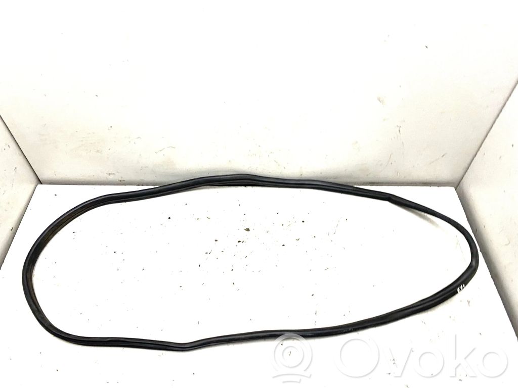 BMW X6 E71 Gumowa uszczelka drzwi tylnych 