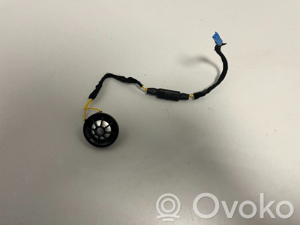 BMW 7 G70 Głośnik drzwi przednich 