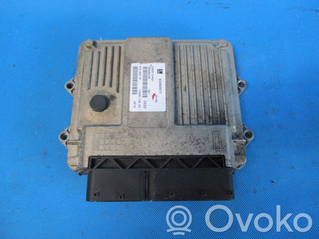Engine control unit/module   3392051K01,7160014802,55563977,7BX0BEJ4K