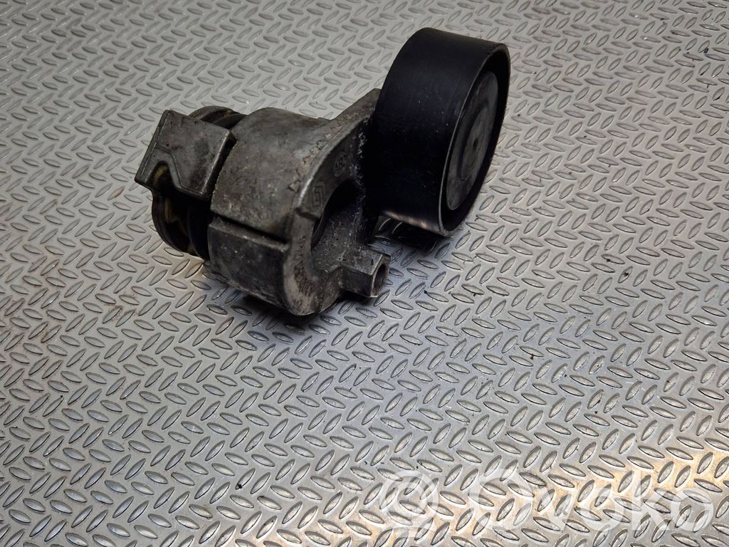 Renault Clio II Generator/alternator belt tensioner 