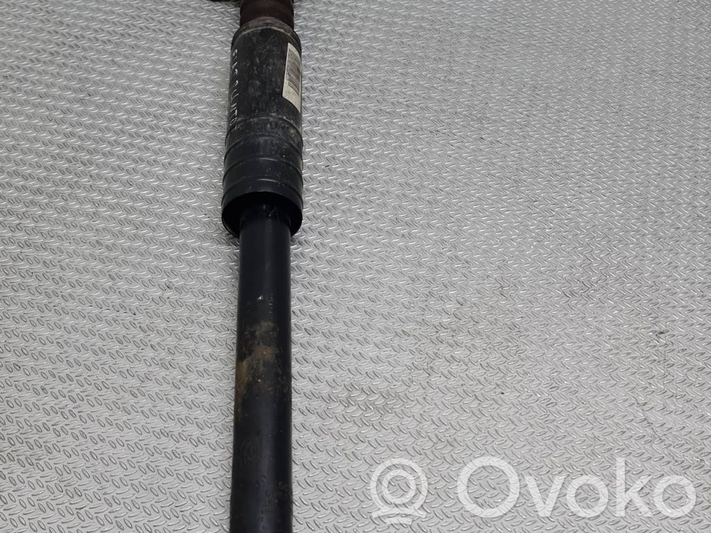 Fiat Punto (199) Rear shock absorber/damper 