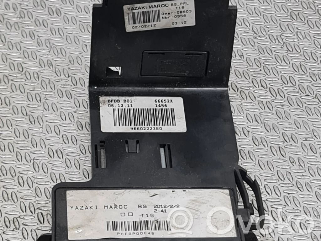 Citroen Berlingo Positive wiring loom 