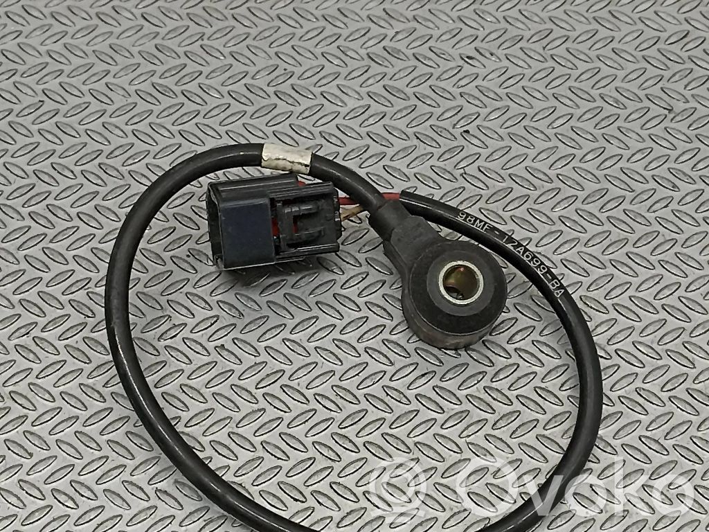 Ford C-MAX II Klopfsensor 
