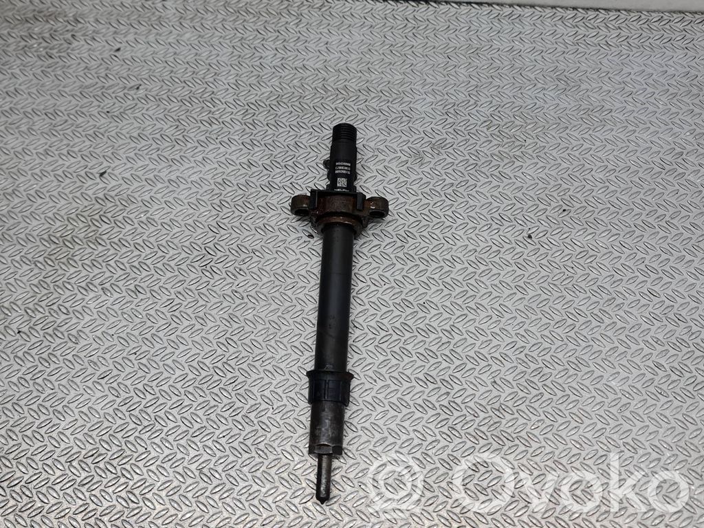 Peugeot 407 Fuel injector 
