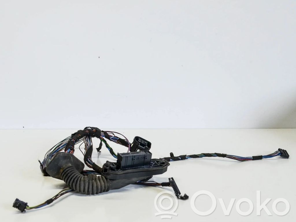 BMW 1 E81 E87 Cableado de puerta delantera 