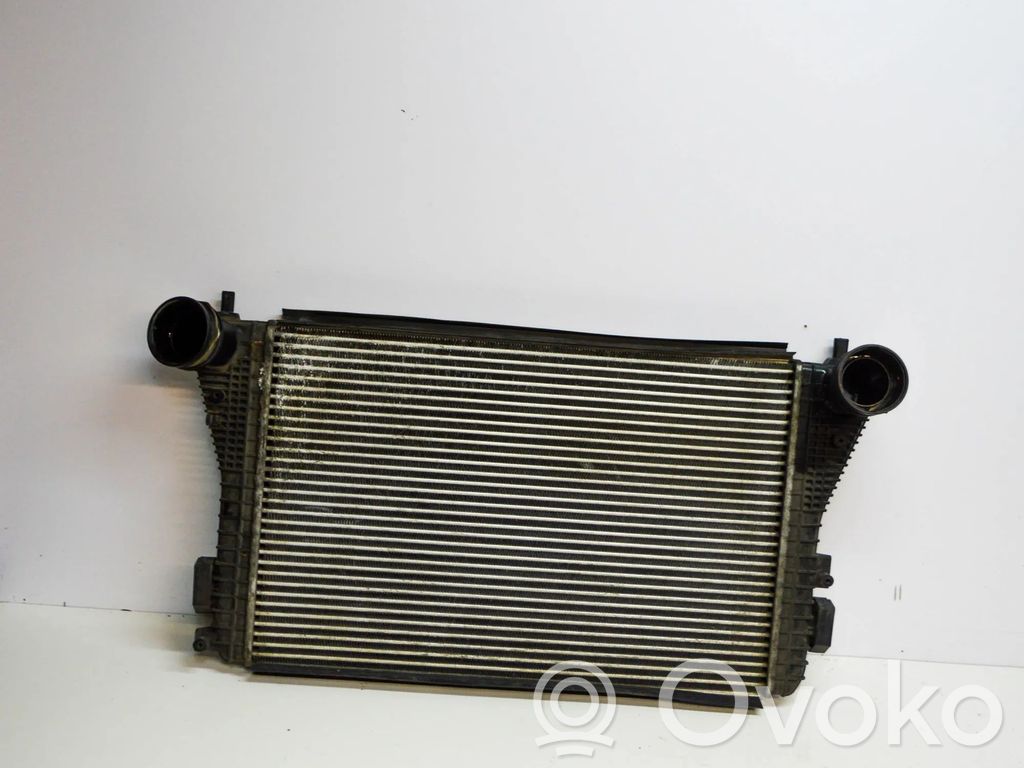 Skoda Octavia Mk2 (1Z) Interkūlerio radiatorius 