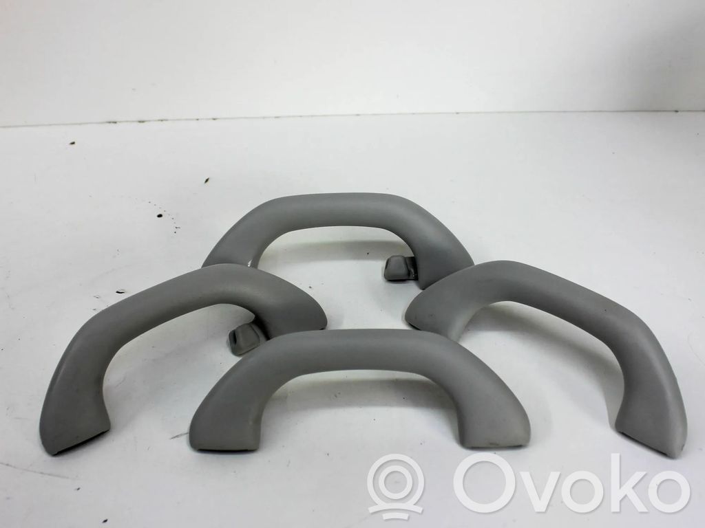 Volkswagen Tiguan Un set di maniglie per il soffitto