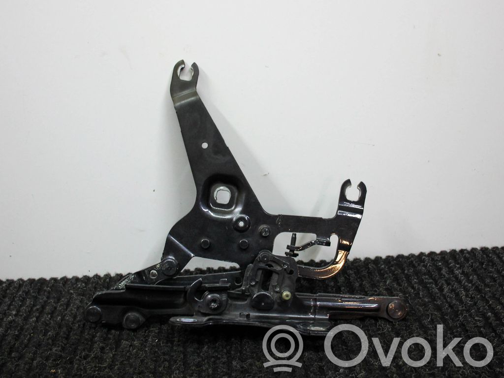 BMW X5 F15 Cerniere del vano motore/cofano 