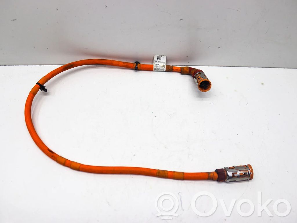 BMW iX3 G08 Cavo positivo (batteria) 