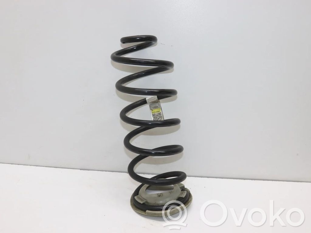 Sprężyna tylna   550206CA0A