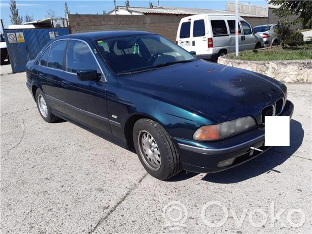 BMW 5 E39 Galinės durys 