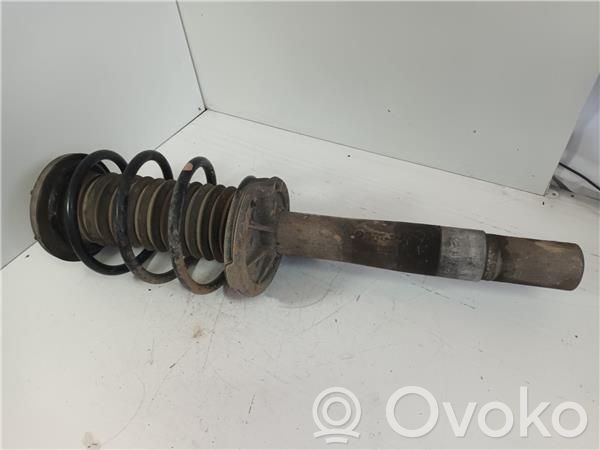 Stoßdämpfer vorne   82490455694,31316753188