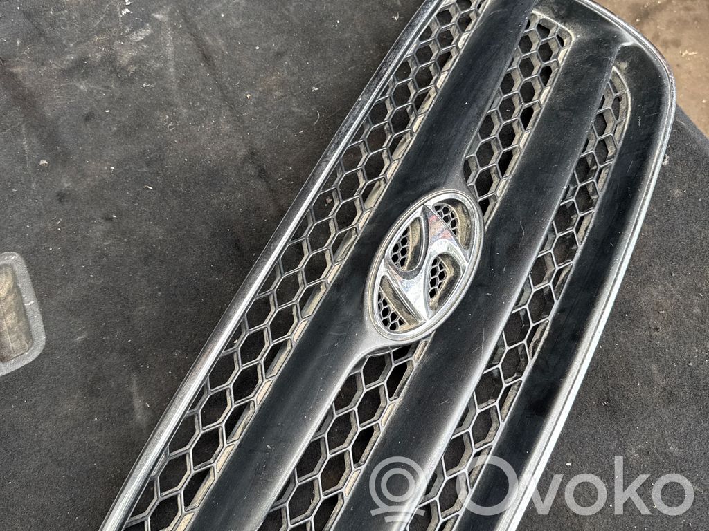 Front grill   E865612B010