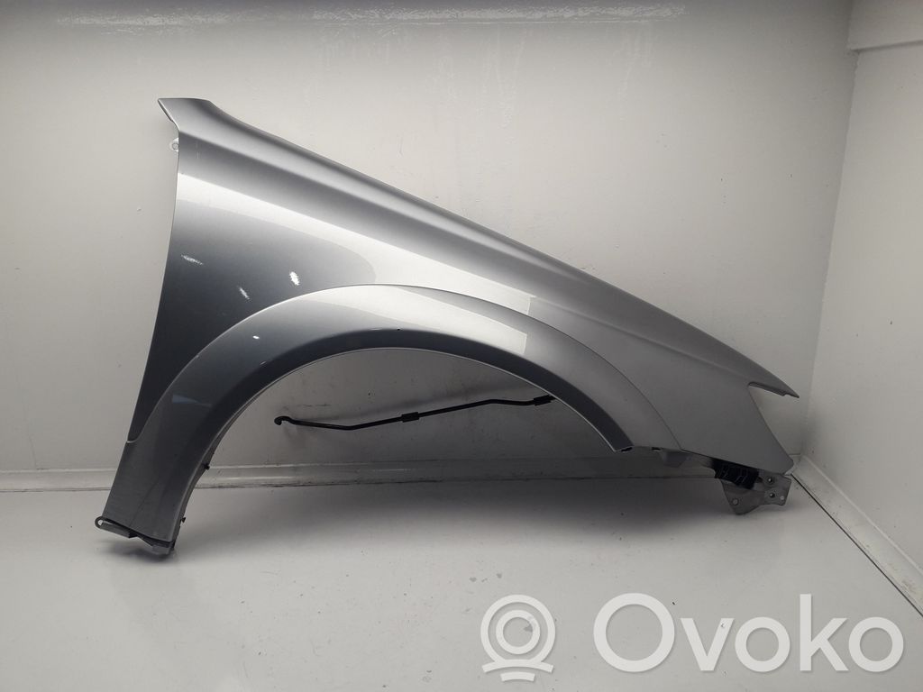 Fender   COLORGRIS