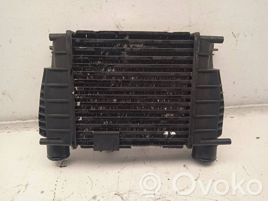 Intercooler radiator   8200170504D