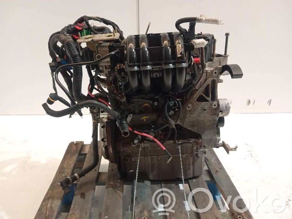 Variklis   843A100095CV