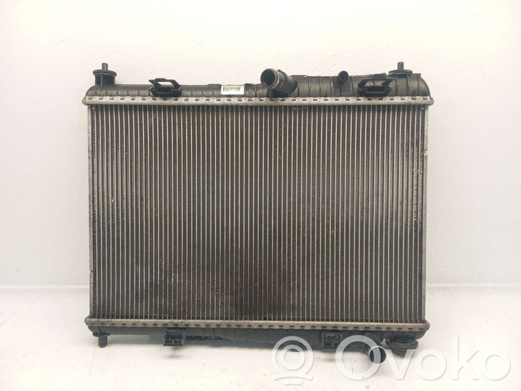 Ford Fiesta Radiator lichid răcire