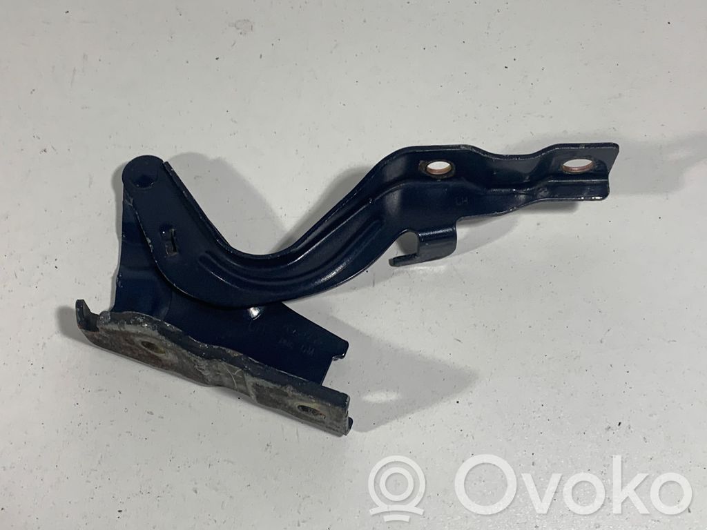 Hyundai Santa Fe Engine bonnet/hood hinges 