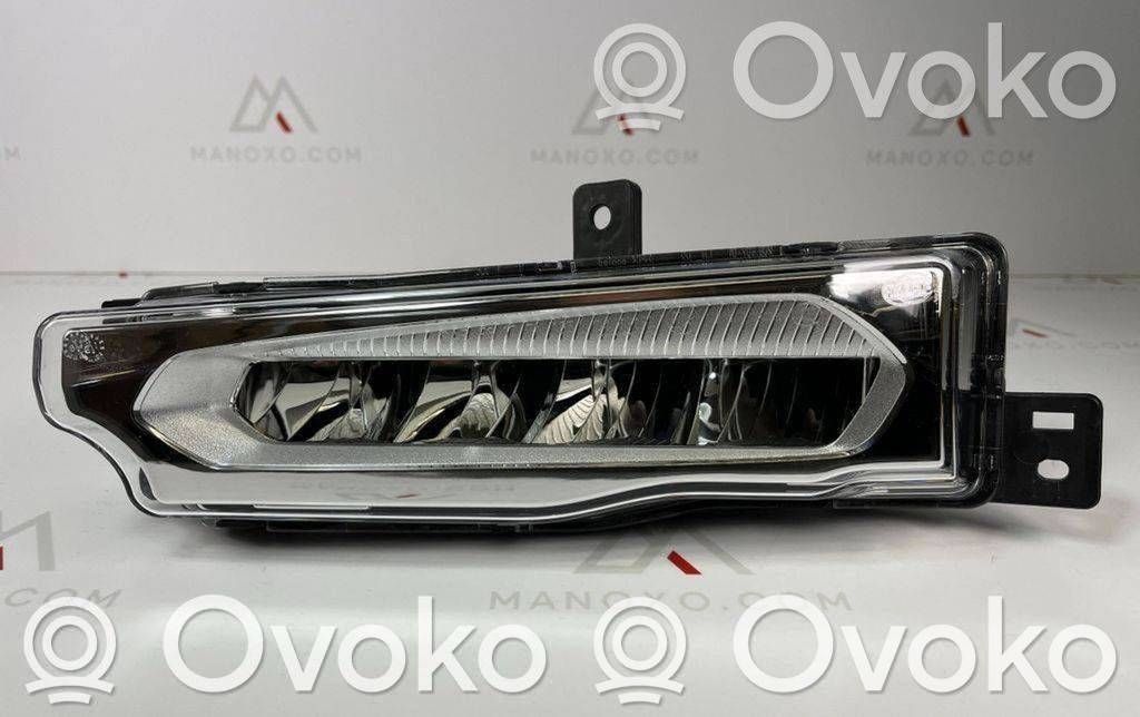 BMW X3 G01 Nebelscheinwerfer vorne 