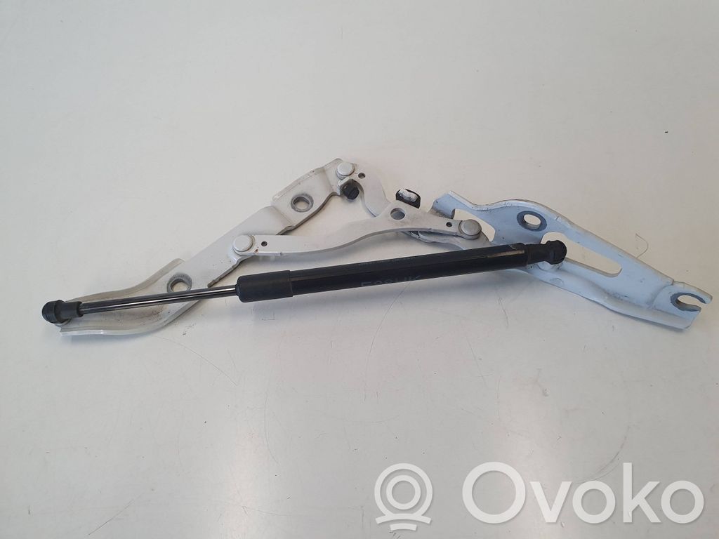 Tailgate/trunk/boot hinge   7166752,7166758