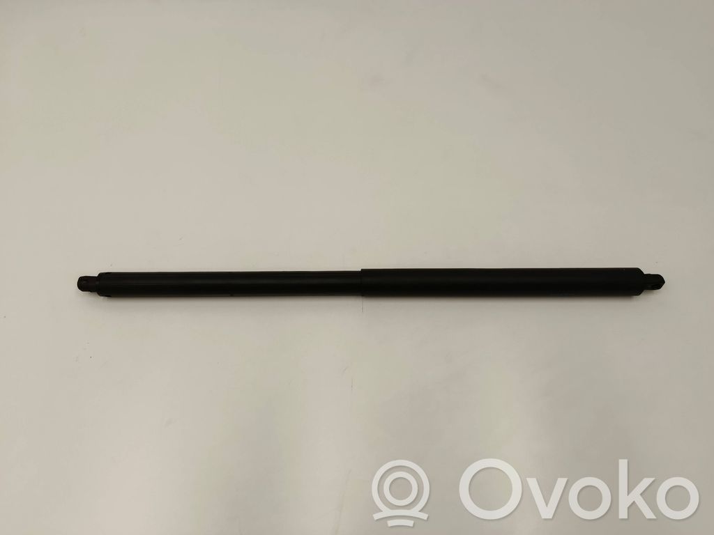 Tesla Model S Tailgate/trunk strut/damper 