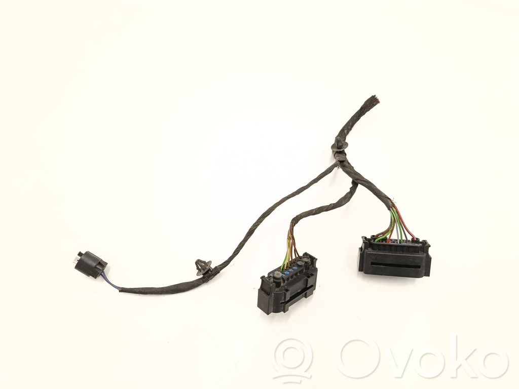 BMW X3 G01 Other wiring loom 