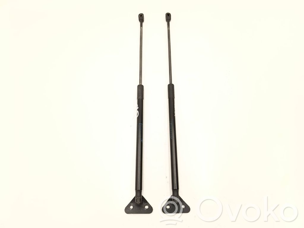BMW X1 E84 Tailgate/trunk strut/damper 
