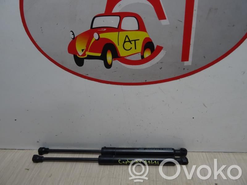 Front bonnet/hood damper/strut