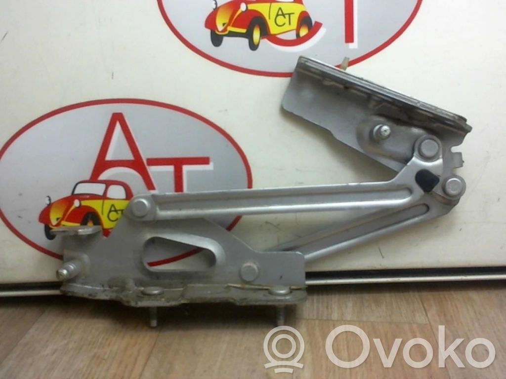 Tailgate/trunk/boot hinge   8613A1,8613A1