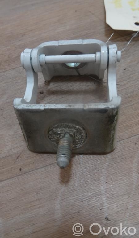 Tailgate/trunk/boot hinge