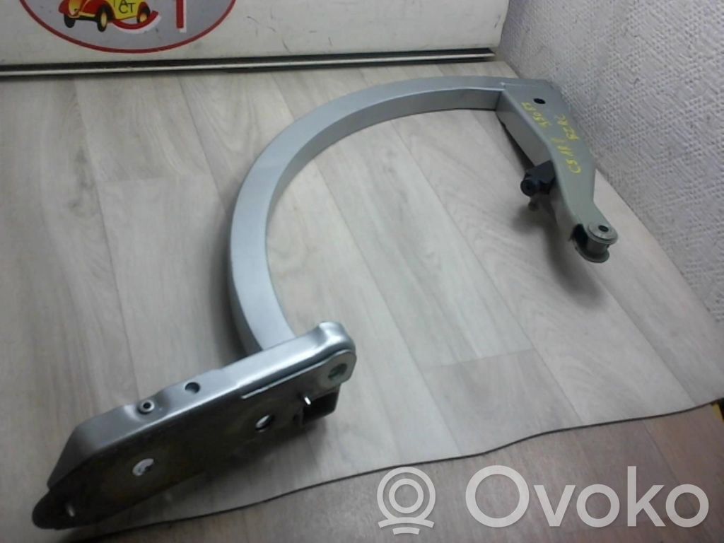 Tailgate/trunk/boot hinge