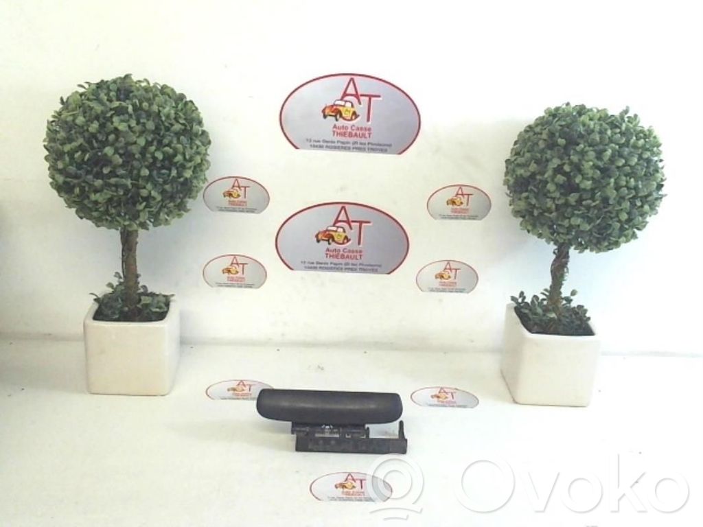 Manecilla externa puerta delantera   9101Q1,9101Q1
