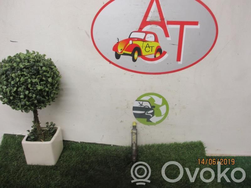 Renault Clio II Iniettore
