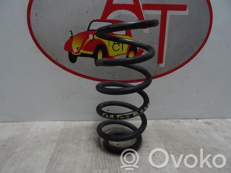 Rear coil spring
