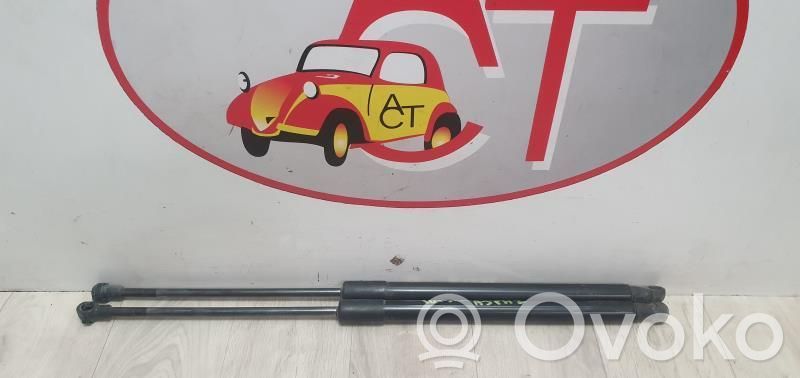 Audi A3 S3 8P Tailgate/trunk strut/damper 