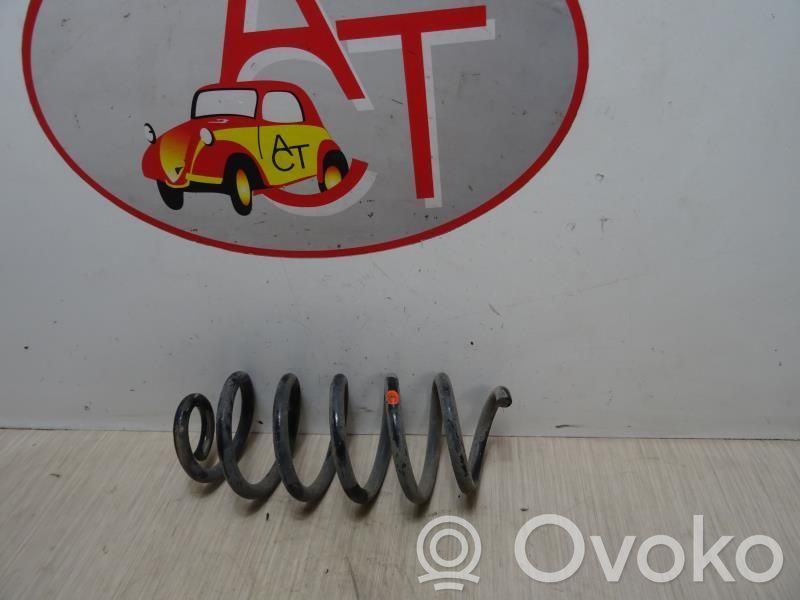 Feder hinten   550202782R,550202782R