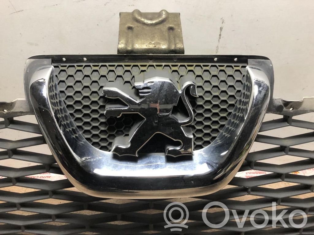Peugeot Boxer Etusäleikkö 