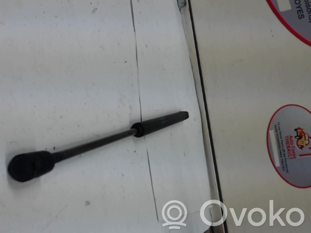 Citroen C3 Ammortizzatore portellone posteriore/bagagliaio